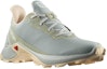 Order (W) Salomon Alphacross 3 低帮“灰色” 416000