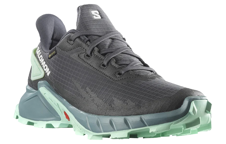 Lookbook (W) Salomon Alphacross 4 Gore-Tex Wandelschoenen 470668