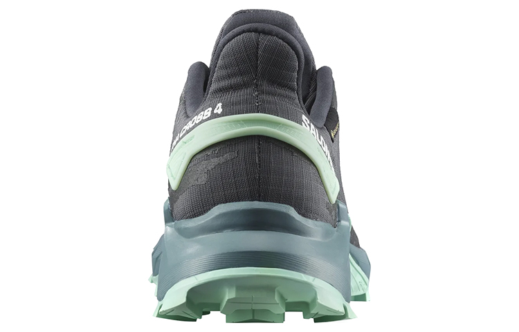 Purchase (W) Salomon Alphacross 4 Gore-Tex Wandelschoenen 470668