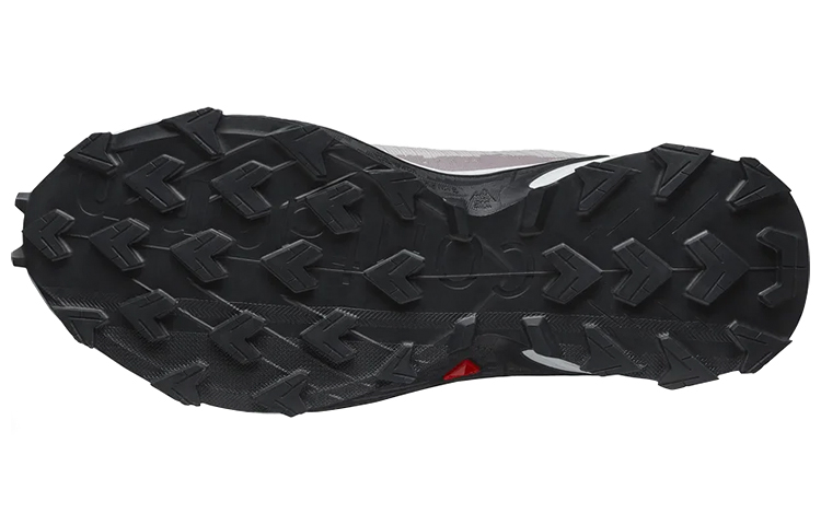 (W) Salomon Alphacross 4 GTX 'White Purple' 圖 6