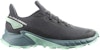 (W) Salomon Alphacross 4 Gore-Tex Kasut Kalistenik Lelaki 470668