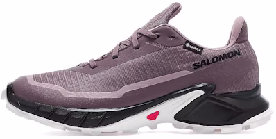 (Women) Salomon Alphacross 5 GORE-TEX 'Moonscape' L47311000 (Women) Salomon Alphacross 5 GORE-TEX 'Moonscape' L47311000