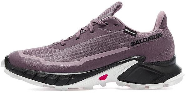 (W) 살로몬 알파크로스 5 고어텍스 '문스케이프' L47311000 Buy (W) 살로몬 알파크로스 5 고어텍스 '문스케이프' L47311000