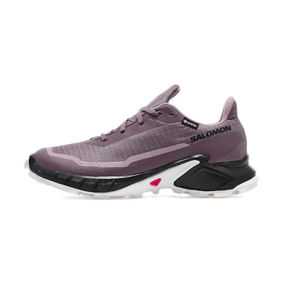 (W) Salomon Alphacross 5 GORE-TEX 'Moonscape'