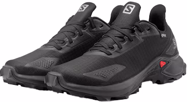 Lookbook Salomon Alphacross Blast GTX 女款 黑色