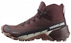 Buy (Women) Salomon Cross Hike 2 'Brown Comfort' 470608