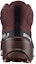 Purchase (Women) Salomon Cross Hike 2 'Brown Comfort' 470608