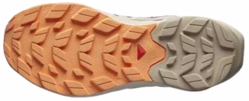 Shop (W) Salomon Elixir Activ GORE-TEX '獵鷹木瓜' L47456400