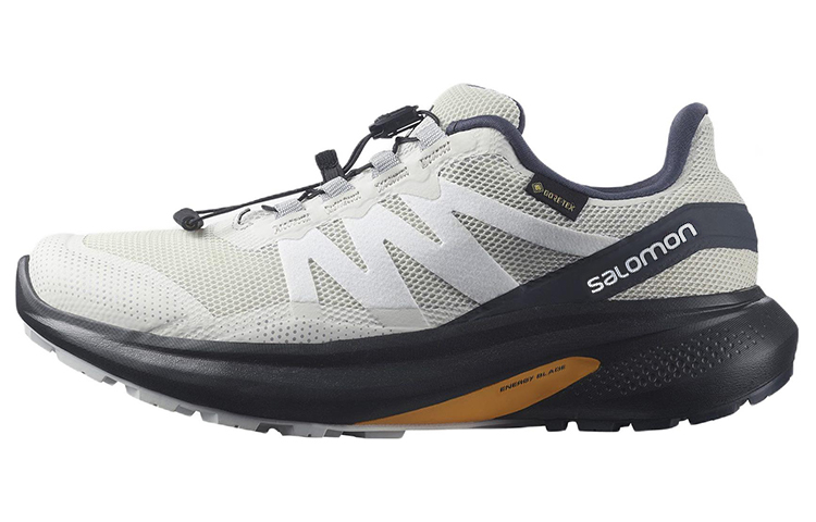 Buy (W) Salomon Hypulse Gore-Tex Sepatu Lari Pria 415964