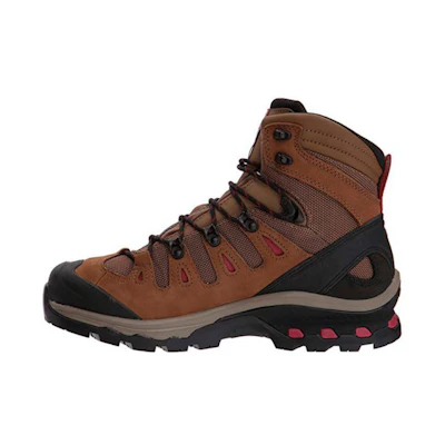 (W) Salomon Quest 4D 3 GTX 'Brown'