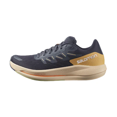 (W) Salomon Spectur 'CMFTable Black'