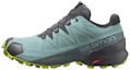 Buy Salomon Speedcross 5 Gore-Tex 舒適耐磨戶外功能鞋 女款 黑綠