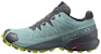 (W) Salomon Speedcross 5 Gore-Tex 'Hitam Hijau' 413829