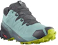 Order Salomon Speedcross 5 Gore-Tex 舒適耐磨戶外功能鞋 女款 黑綠