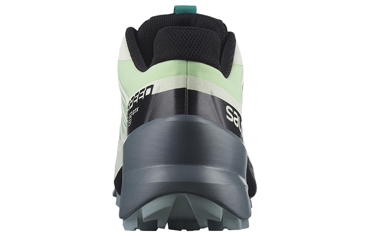 Lookbook (W) Salomon Speedcross 5 GTX ''Vert Clair'' 415634