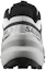 Purchase (W) サロモン スピードクロス6 GTX グレー 417437