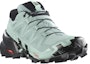 Lookbook (W) Salomon Speedcross 6 GTX 'Verde' zapatillas trail running 417435