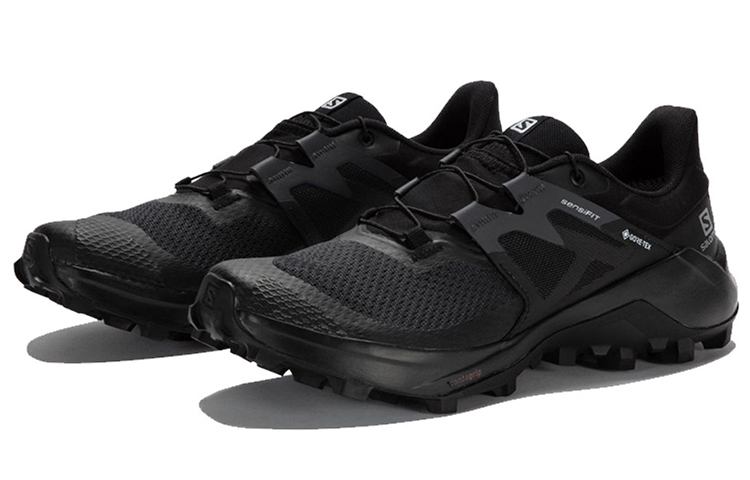 (W) Salomon Wildcross 2 GTX 'Black' 圖 3