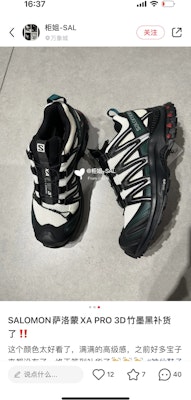 (Women) Salomon XA PRO 3D 'Alloy Grey Quarry' XA-PRO-3D Buy (Women) Salomon XA PRO 3D 'Alloy Grey Quarry' XA-PRO-3D