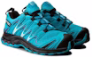 Lookbook Salomon Xa Pro 3d 舒適耐磨戶外功能鞋 女款 藍