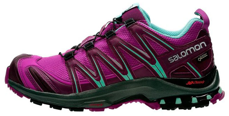 women-salomon-xa-pro-3-d-gtx-purple-404723