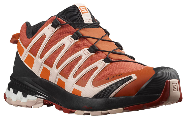 (W) Salomon XA Pro 3D V8 GTX 'Beige Coral' 圖 2