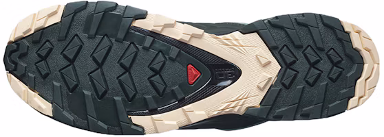 Purchase (W) Salomon XA Wild Herren/Damen Wanderschuhe 412707