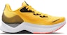 (W) Saucony Endorphin Shift 2 'ViZiGold' Lelaki/Wanita S10689-16