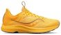 (Women) Saucony Freedom 5 'Gold Basin' S10726-31