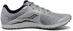 Order (W) Saucony Kilkenny XC8 Spike ''Grigio Argento'' S19068-40