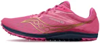 Buy (W) Saucony Kilkenny XC9 Spike ''Roze'' S19080-41