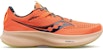 (W) Saucony Ride 15 'Cerita Api Unggun' S10729-45