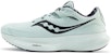 (W) Saucony Ride 15 Runshield 'Winter Miles Pack - Janji' S10806-02