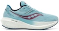 Order (W) Saucony Triumph 20 'Mineral Berry' Kasut Wanita S10759-16