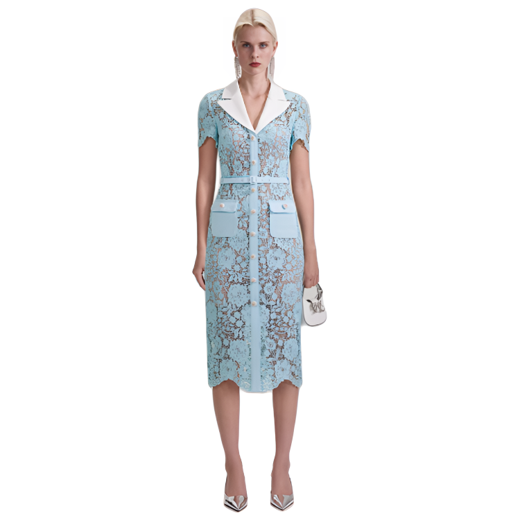 (Women) Self-Portrait  Lace V-Neck Elegant Party Dress with Short Sleeves SWF343Y03900