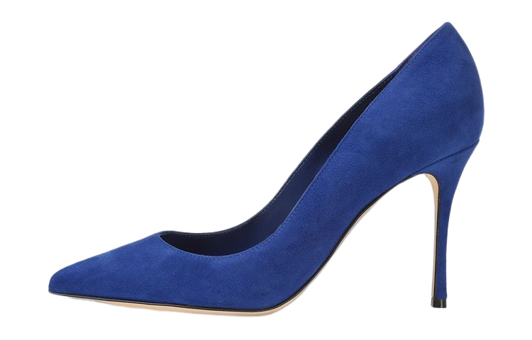 (W) SERGIO ROSSI Pointed Toe Suede High Heels 'Blue'