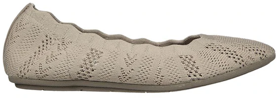 Order Skechers Cleo 2.0 一腳蹬運動休閒鞋 女款 灰褐色