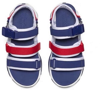 Skechers D'Lites 3.0 奶蓋涼鞋藍莓酪酪 涼鞋 女款 藍色 Shop Skechers D'Lites 3.0 奶蓋涼鞋藍莓酪酪 涼鞋 女款 藍色