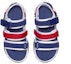 Shop (W) Skechers D Lites 3.0 Sandal Biru 66666302-WNVR