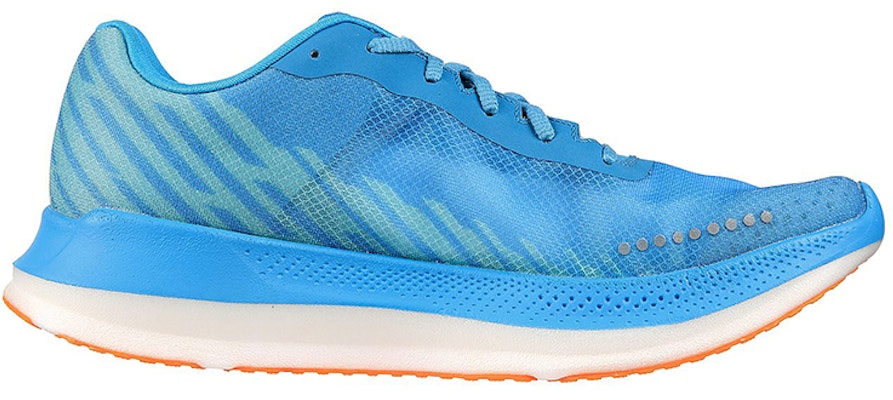 (W) 斯凯奇 GO RUN 低帮 '浅蓝色' 172004-BLOR Order (W) 斯凯奇 GO RUN 低帮 '浅蓝色' 172004-BLOR