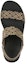 Shop (W) Skechers Rumble On 'Sassy Dayz Kelabu Coklat' 119147-TPE