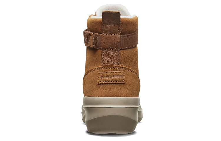 Shop (W) Skechers Skyhigh Ultra ''Chestnut'' Bruin 15546-CSNT