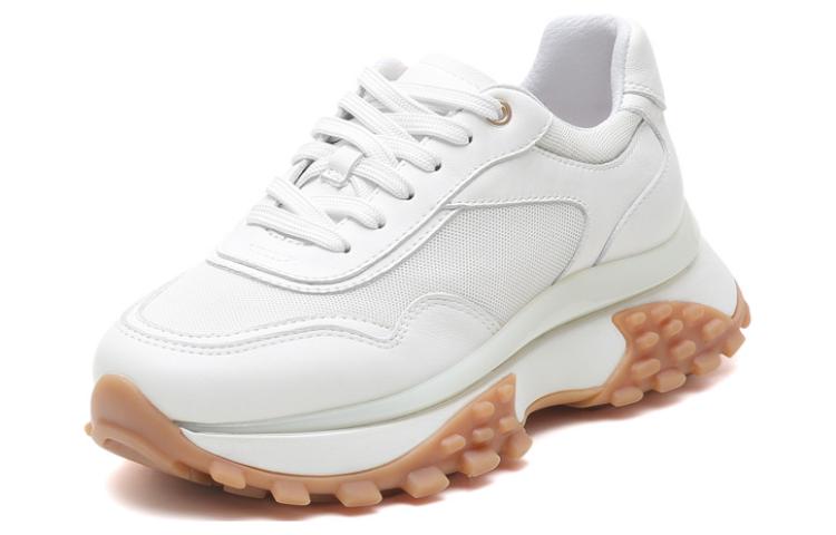 Order (W) Staccato 网眼拼接老爹鞋 Y3225AM2