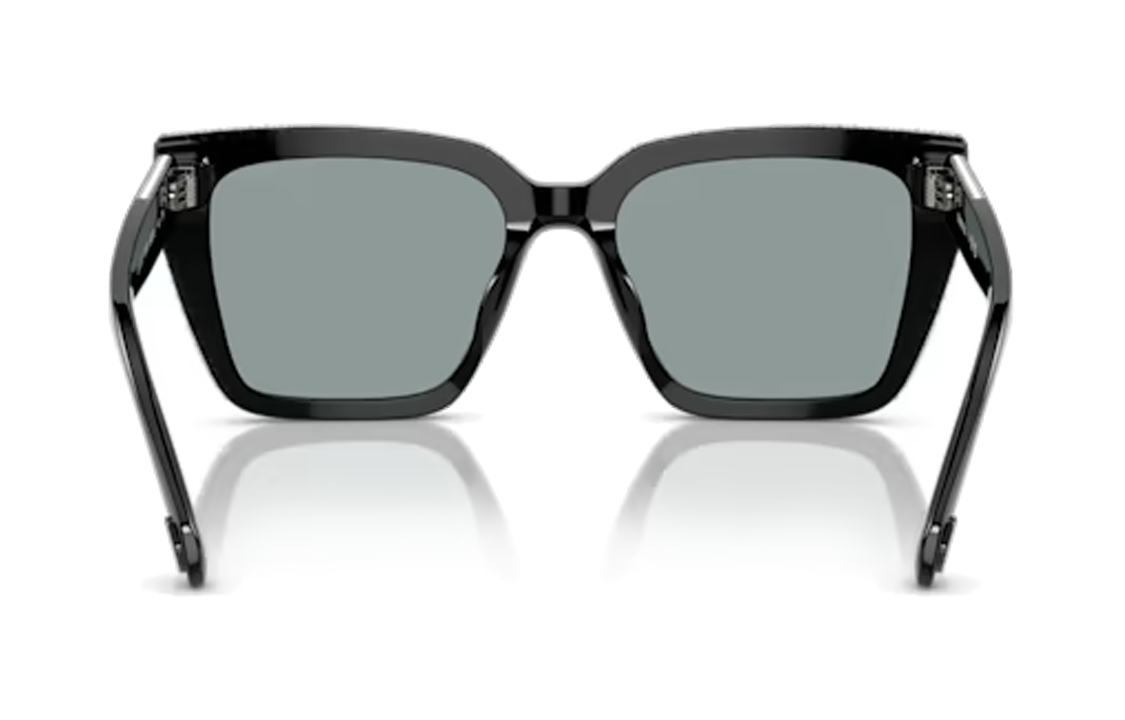 Purchase (W) 施華洛世奇 不規則水晶醋酸黑色太陽眼鏡搭配字母細節 5679551