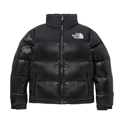 (Women) TNF 1996 ECO Nuptse Jacket Logo Embroidered Black Puffer NJ1DQ85B