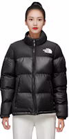 Purchase (W) The North Face Jaket Puffer Glossy Hitam NJ3NP85D