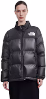 Details for (W) The North Face Jaket Puffer Glossy Hitam NJ3NP85D