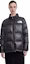 Details for (W) The North Face Chaqueta Acolchada Brillante Negra NJ3NP85D