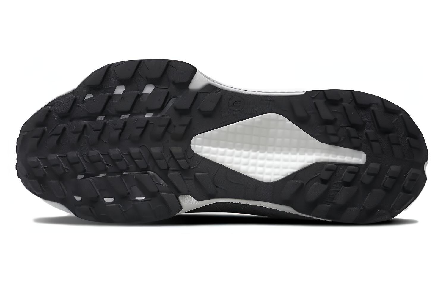 Purchase (W) The North Face Altamesa 500 '黑色瀝青灰' NF0A8A9P-KT0