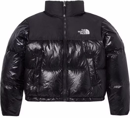 women-the-north-face-black-down-jacket-with-logo-lettering-print-nj-1-dp-81-j